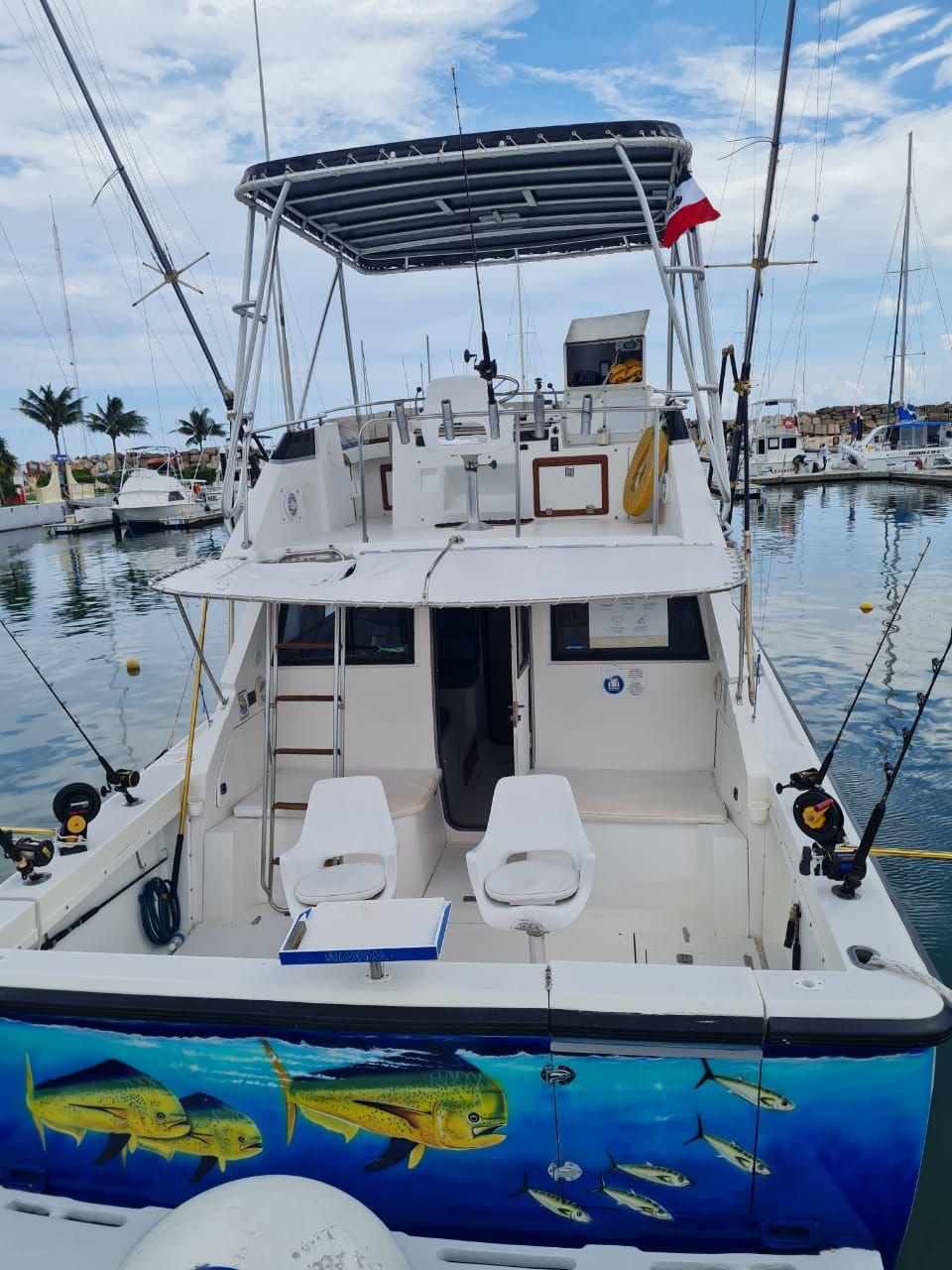 Post 35 sportfisher for mahi-mahi and marlin fishing charters in Puerto Morelos